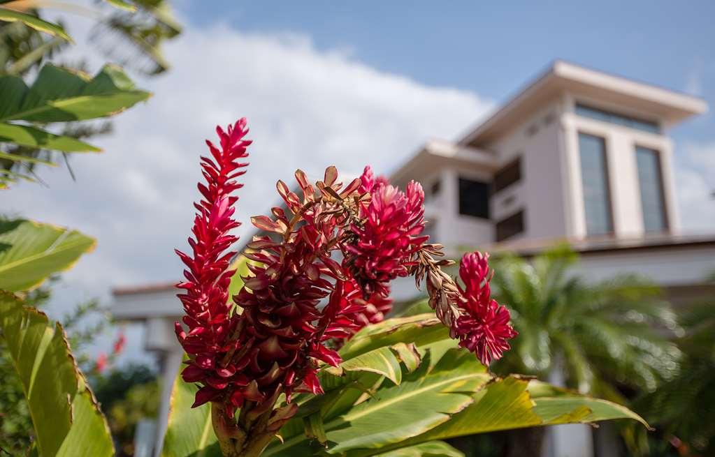Maui Coast Hotel Kihei Facilități foto